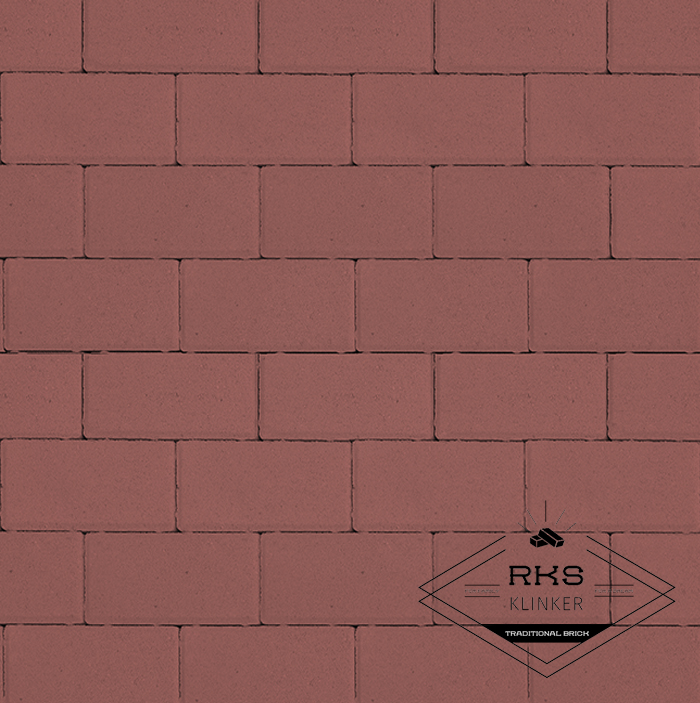 Плитка тротуарная Прямоугольник 1.П.6, Красный, 100х200х60 мм в Старом Осколе